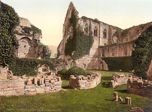 [Abbey from the guest house, Tintern, England]