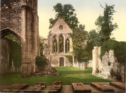 [Valle Crucis Abbey, interior looking west, Llangollen, Wales]