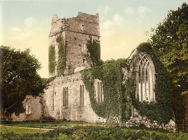 Muckross Abbey