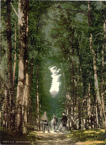 [Hohesonne and view of the Wartburg, Wartburg, Thuringia, Germany]